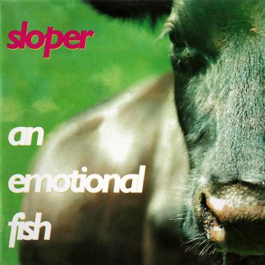 An Emotional Fish -  Sloper